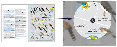 HBW and BirdLife International Illustrated Checklist of the Birds of the World