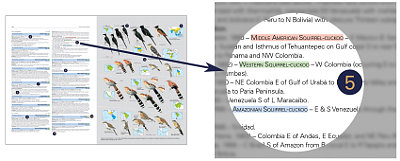 HBW and BirdLife International Illustrated Checklist of the Birds of the World