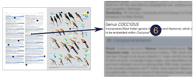 HBW and BirdLife International Illustrated Checklist of the Birds of the World