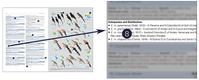 HBW and BirdLife International Illustrated Checklist of the Birds of the World