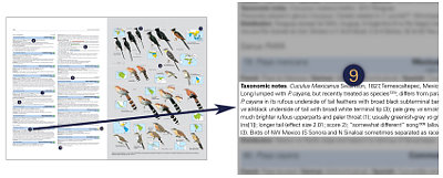 HBW and BirdLife International Illustrated Checklist of the Birds of the World