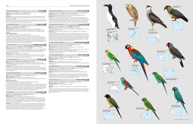 Illustrated Checklist of the Birds of the World - Extinct Species