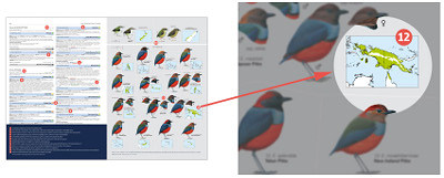 HBW and BirdLife International Illustrated Checklist of the Birds of the World