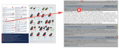 HBW and BirdLife International Illustrated Checklist of the Birds of the World