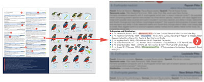 HBW and BirdLife International Illustrated Checklist of the Birds of the World