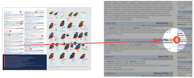 HBW and BirdLife International Illustrated Checklist of the Birds of the World