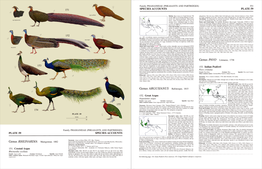 Handbook of the Birds of the World Volume 2 New World Vultures to Guineafowl | Lynx Nature Books