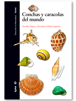 Conchas y caracolas del mundo | Lynx Nature Books