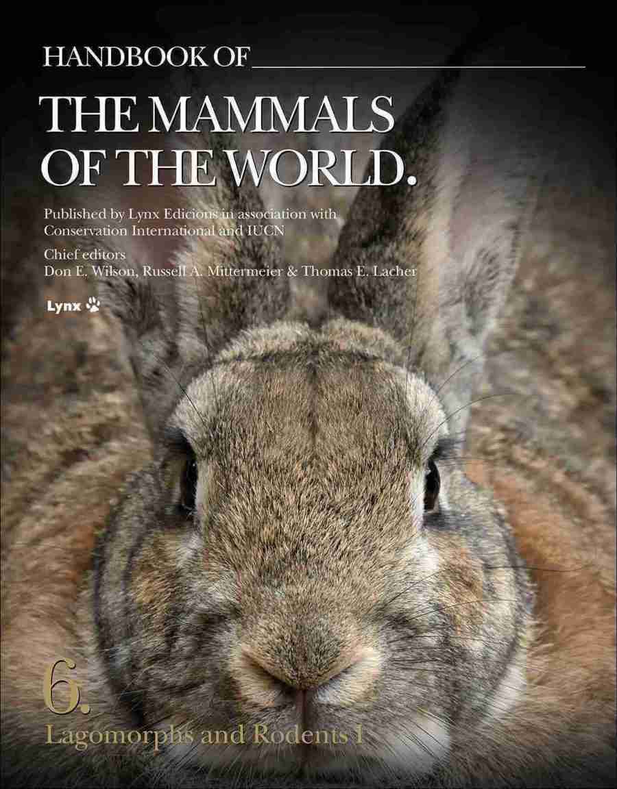 Cover of Handbook of the Mammals of the World Volume 6 Lagomorphs and Rodents I