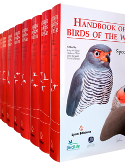 Handbook of the Birds of the World; Handbook of the Birds; Birds of the World; HBW; bird encyclopedia | Lynx Nature Book | Lynx Edicions