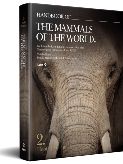 Cover of Handbook of the Mammals of the World Volume 2 Hoofed Mammals