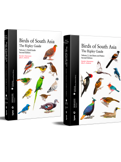 Birds of South Asia - The Ripley Guide (two volumes)