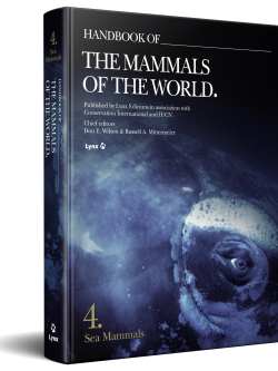 Cover of Handbook of the Mammals of the World Volume 4 Sea Mammals