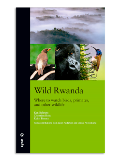 Wild Rwanda: Where to watch birds, primates, and other wildlife