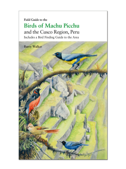 Field Guide to the Birds of Machu Picchu and the Cusco Region, Peru | Lynx Nature Books