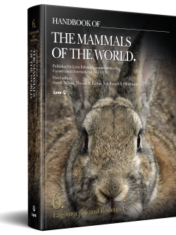 3D cover of Handbook of the Mammals of the World Volume 6 Lagomorphs and Rodents I