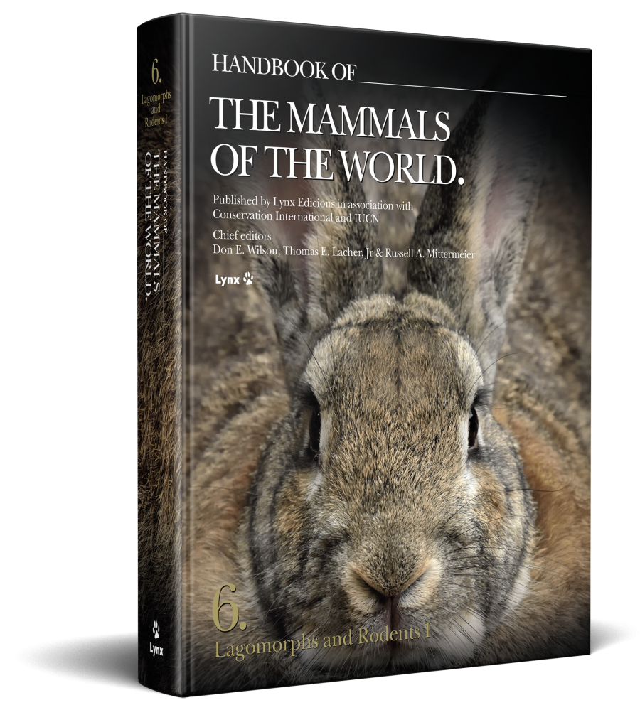 3D cover of Handbook of the Mammals of the World Volume 6 Lagomorphs and Rodents I