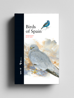 bird of Spain; dumb bird; eagles in Spain; parrots in Spain; ornithology book; bird guides; bird identification book