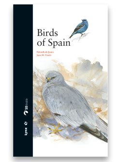 bird of Spain; dumb bird; eagles in Spain; parrots in Spain; ornithology book; bird guides; bird identification book