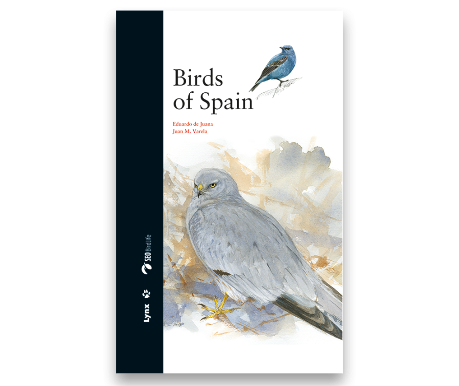 bird of Spain; dumb bird; eagles in Spain; parrots in Spain; ornithology book; bird guides; bird identification book