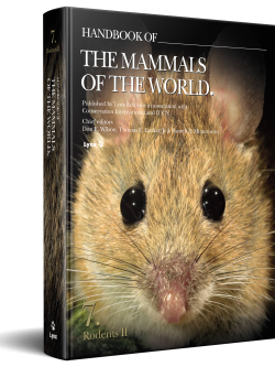 3D cover of Handbook of the Mammals of the World Volume 7 Rodents II