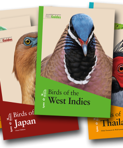 Colección Lynx and BirdLife International Field Guides