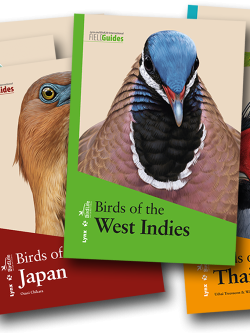 Colección Lynx and BirdLife International Field Guides