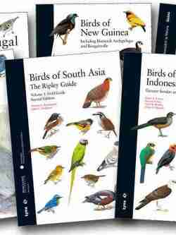 Other Field Guides