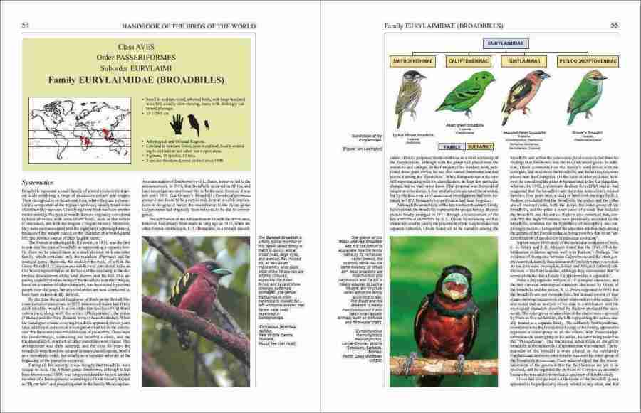 Handbook of the Birds of the World – Volume 8: Broadbills to Tapaculos | Lynx Edicions | Lynx Nature Books