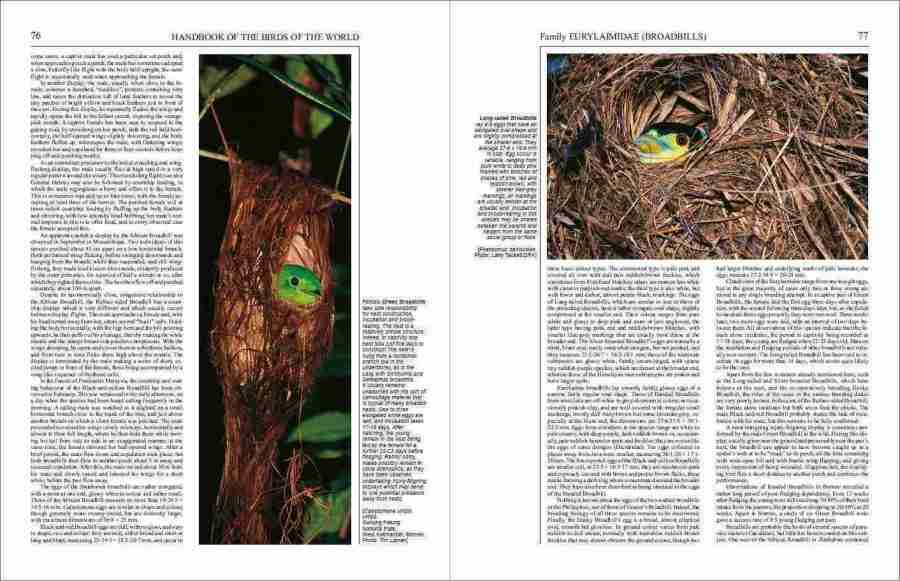 Handbook of the Birds of the World – Volume 8: Broadbills to Tapaculos | Lynx Edicions | Lynx Nature Books