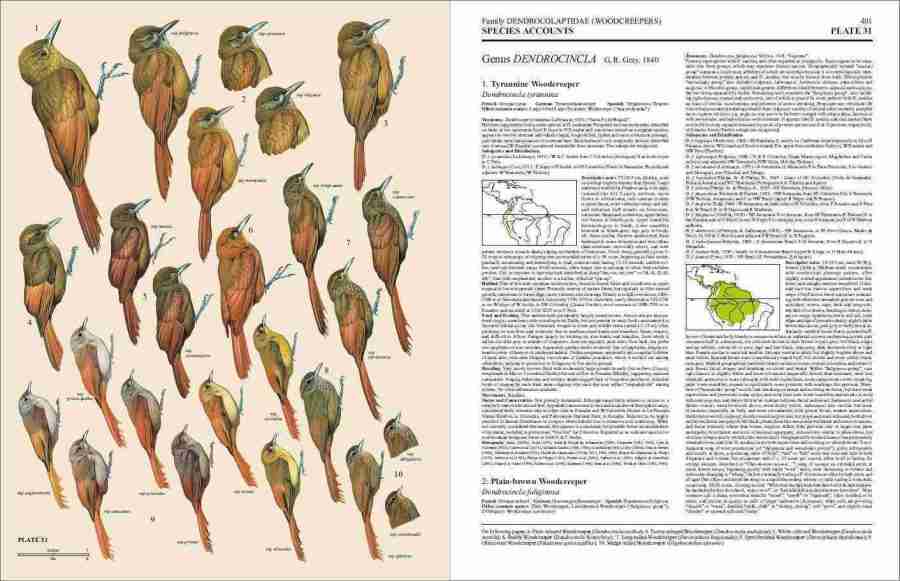 Handbook of the Birds of the World – Volume 8: Broadbills to Tapaculos | Lynx Edicions | Lynx Nature Books