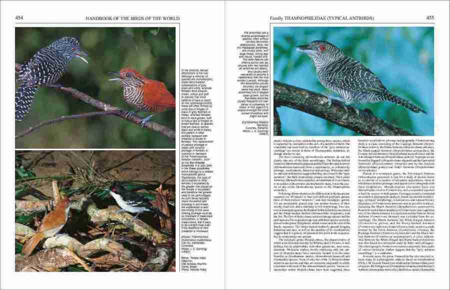 Handbook of the Birds of the World – Volume 8: Broadbills to Tapaculos | Lynx Edicions | Lynx Nature Books