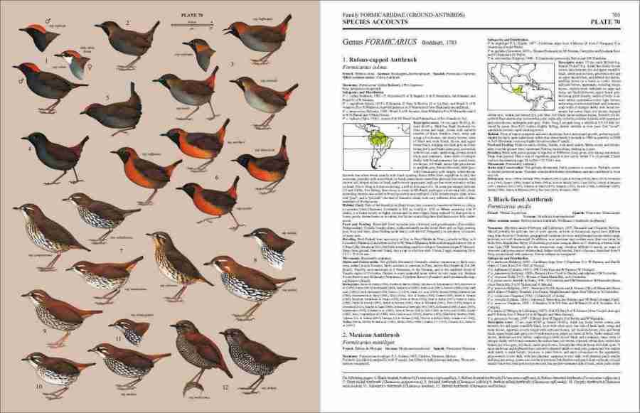 Handbook of the Birds of the World – Volume 8: Broadbills to Tapaculos | Lynx Edicions | Lynx Nature Books