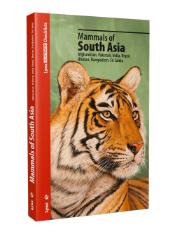 Mammals of South Asia - Afghanistan, Pakistan, India, Nepal, Bhutan, Bangladesh, Sri Lanka | Lynx Nature Books