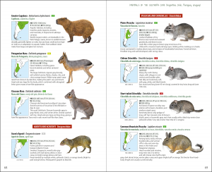 Mammals of the Southern Cone