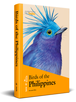 birds of the Philippines