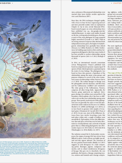 The Largest Avian Radiation - The Evolution of Perching Birds, or the Order Passeriformes | Jon Fjeldså | Lynx Edicions | Lynx Nature Books