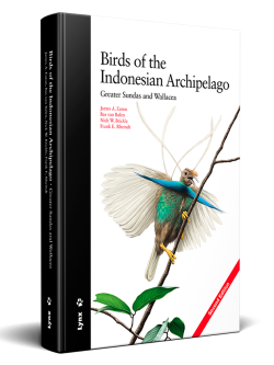 birds of the Indonesian archipelago; birds of Indonesia; bird guides; field guide to the birds