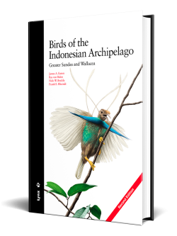 birds of the Indonesian archipelago; birds of Indonesia; bird guides; field guide to the birds