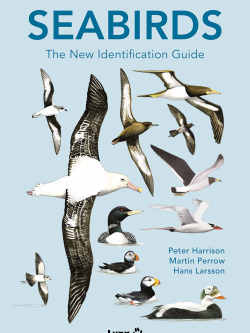 Seabirds: The New Identification Guide