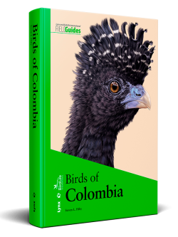 birds of Colombia