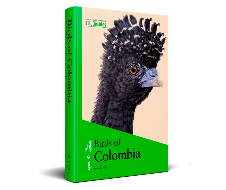 birds of Colombia