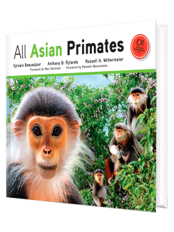 All Asian Primates | Re:wild | Lynx Nature Books