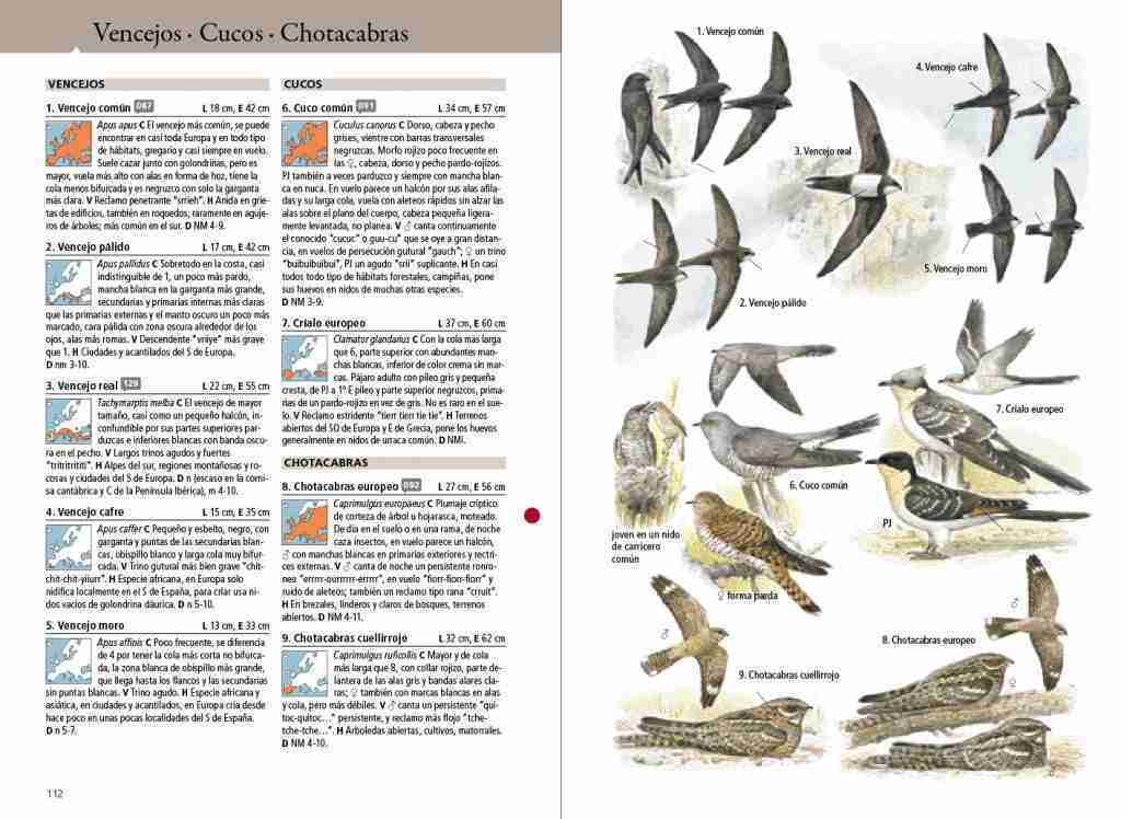 Aves de Europa_muestra 2