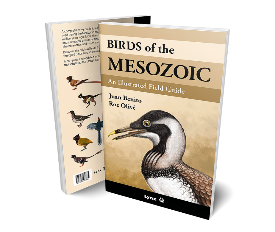 birds of the mesozoic