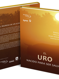 El uro - covers