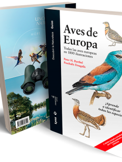 Aves de Europa cover