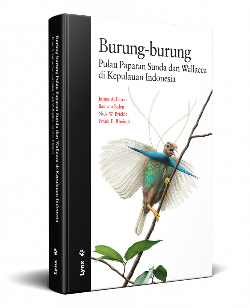 Burung-burung