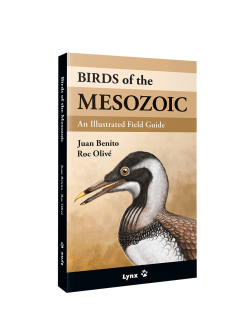 Birds of the Mesozoic: An Illustrated Field Guide | Lynx Nature Books