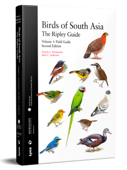 birds of South Asia; field guide to the birds